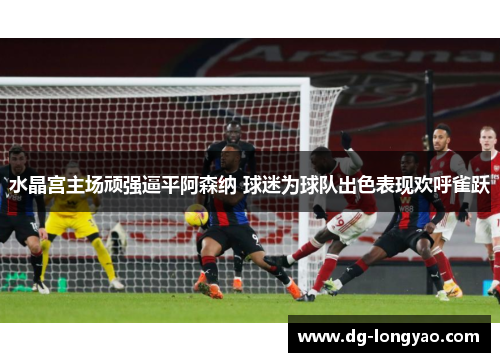 水晶宫主场顽强逼平阿森纳 球迷为球队出色表现欢呼雀跃