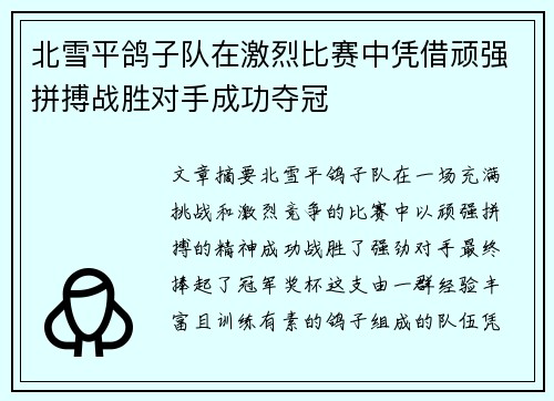 北雪平鸽子队在激烈比赛中凭借顽强拼搏战胜对手成功夺冠