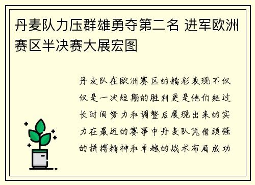丹麦队力压群雄勇夺第二名 进军欧洲赛区半决赛大展宏图