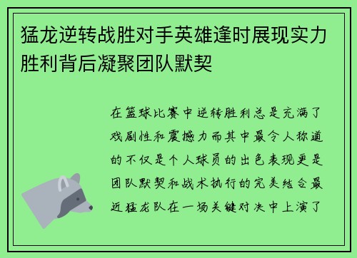 猛龙逆转战胜对手英雄逢时展现实力胜利背后凝聚团队默契