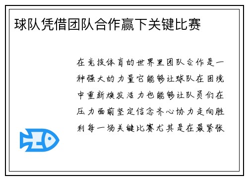 球队凭借团队合作赢下关键比赛