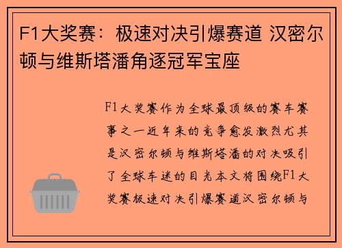 F1大奖赛：极速对决引爆赛道 汉密尔顿与维斯塔潘角逐冠军宝座